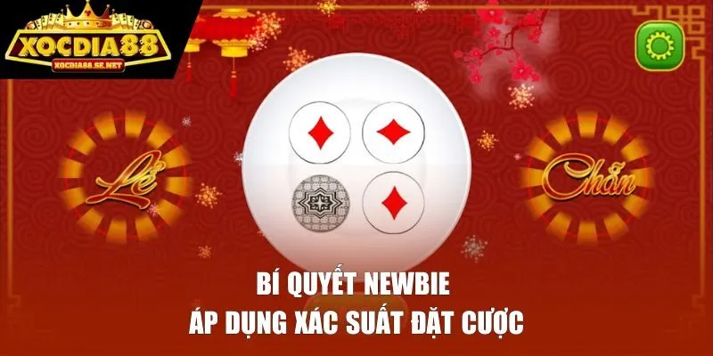Bí quyết newbie áp dụng xác suất đặt cược